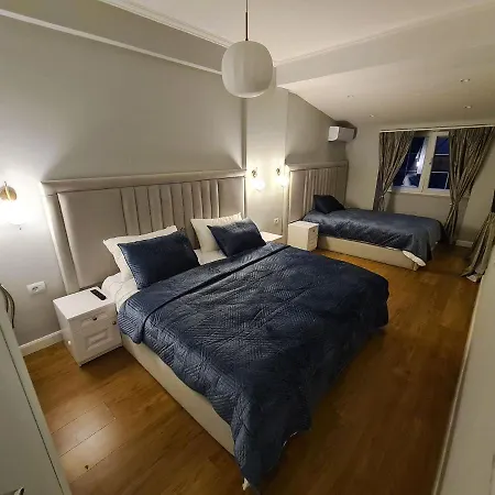 Comfort Center 公寓 地拉那